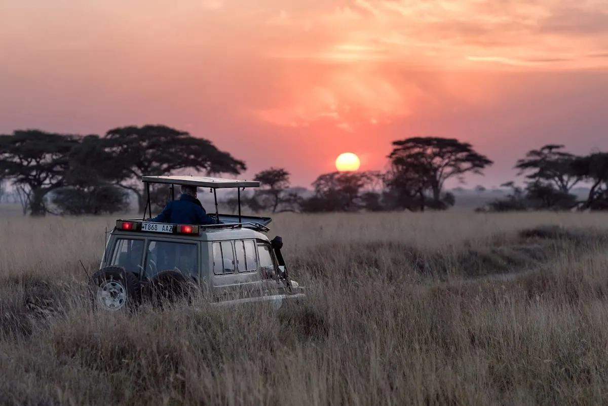 Africa & Safari